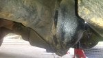 20150626_083303.jpg