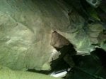 IMG_1553.jpg
