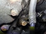 20171107_122530.jpg