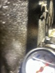 IMG_1935.jpeg